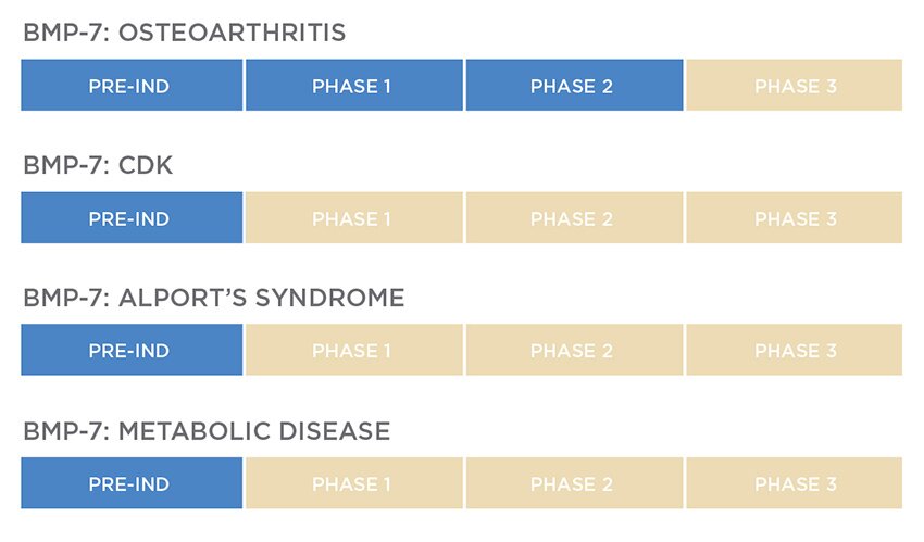 Ember Therapeutics Pipeline